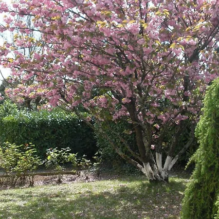 Le Clos Sainte Lea Gasthuis Mouilleron-le-Captif