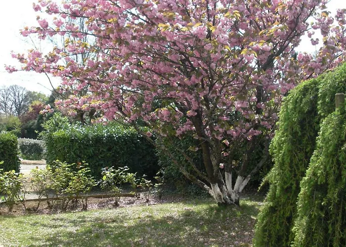 Le Clos Sainte Lea Πανσιόν Mouilleron-le-Captif